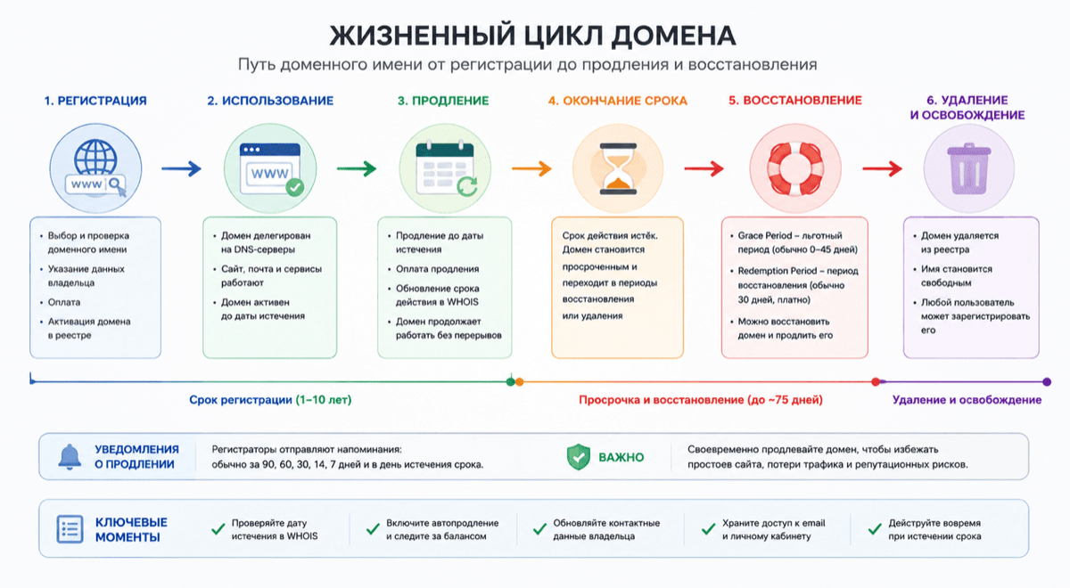 Схема жизненного цикла домена от регистрации до продления