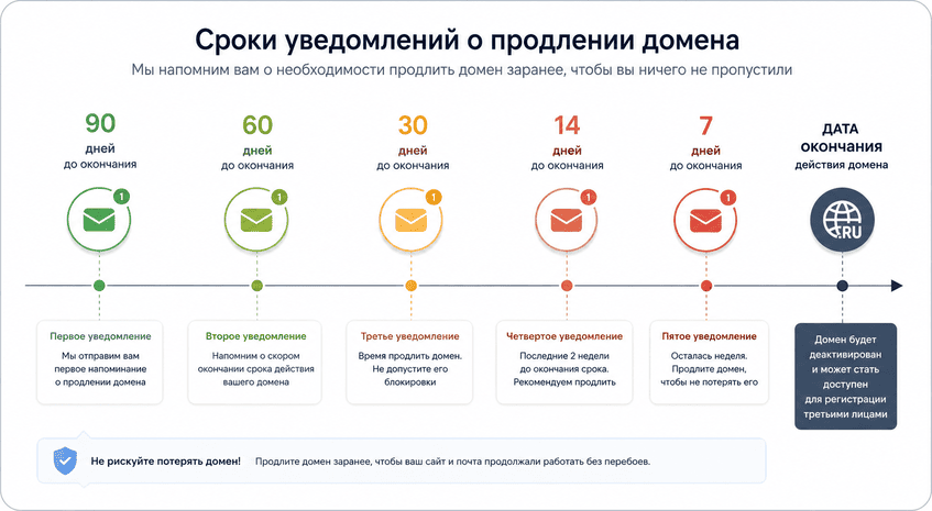 Инфографика со сроками уведомлений о продлении домена